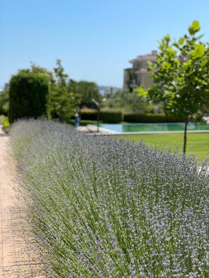 Provence Deluxe Apartment In Atia Resort Chernomorets Eksteriør billede
